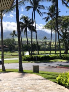 maui Hawaii landscape mountains and palm trees